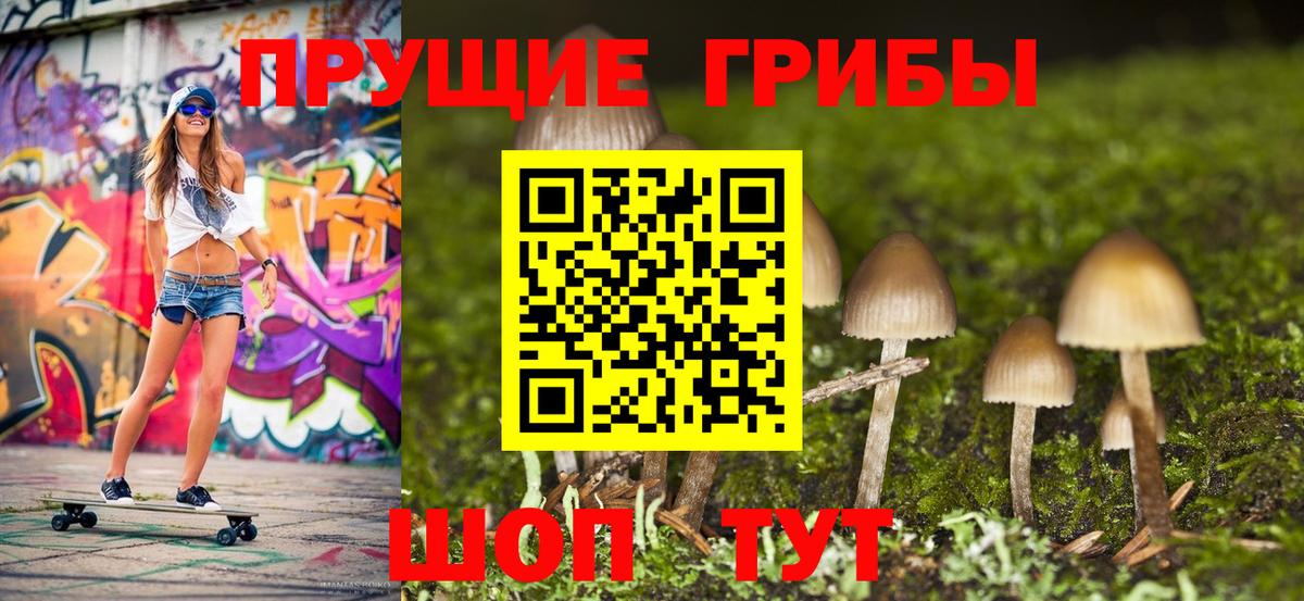 как найти наркотики  Псилоцибиновые грибы MAGIC MUSHROOMS  Кузнецк  Вход с VPN  Галлюциногенные грибы прущие грибы 