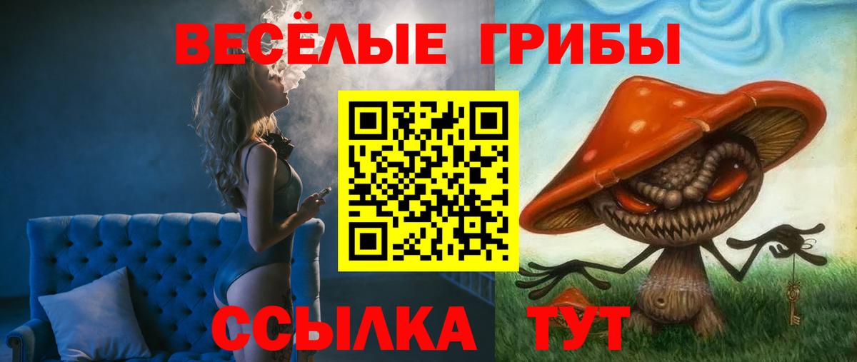 Псилоцибиновые грибы Cubensis Кузнецк