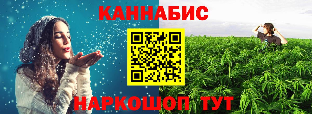 Бошки марихуана сатива  Вход с VPN  Каннабис Ganja  Канабис план  Кузнецк  Канабис OG Kush 